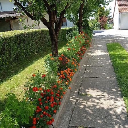 Apartman Skudar Bjelovar Esterno foto