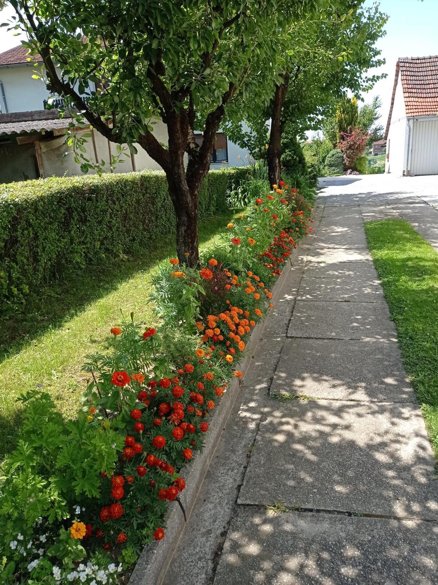 Apartman Skudar Bjelovar Esterno foto
